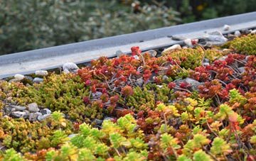 the cost of Cowpe green roof installation