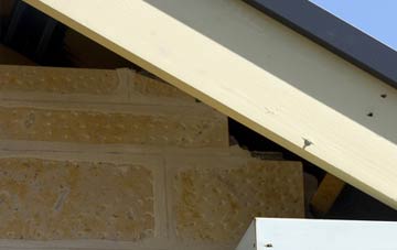 soffit repair Cowpe