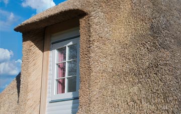 Cowpe thatch roof disadvantages
